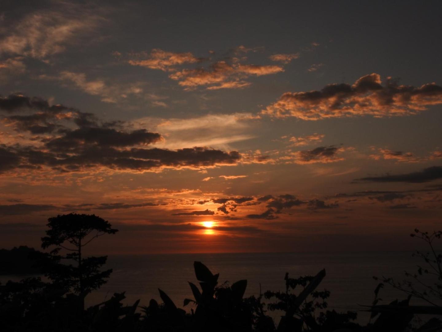 Bed and Breakfast Osa House - Drake Corcovado Tours Drakes Bay Exterior foto