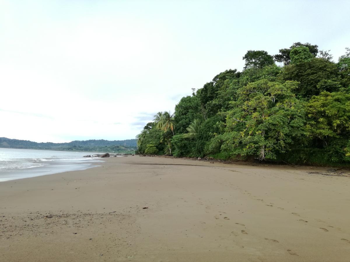 Bed and Breakfast Osa House - Drake Corcovado Tours Drakes Bay Exterior foto